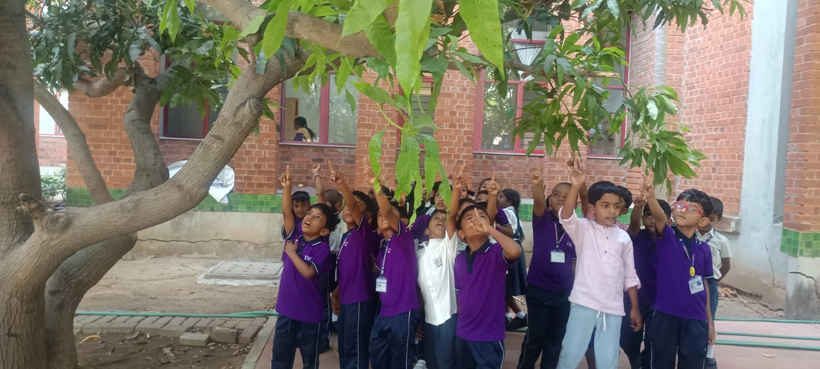 World Environment Day 2026
