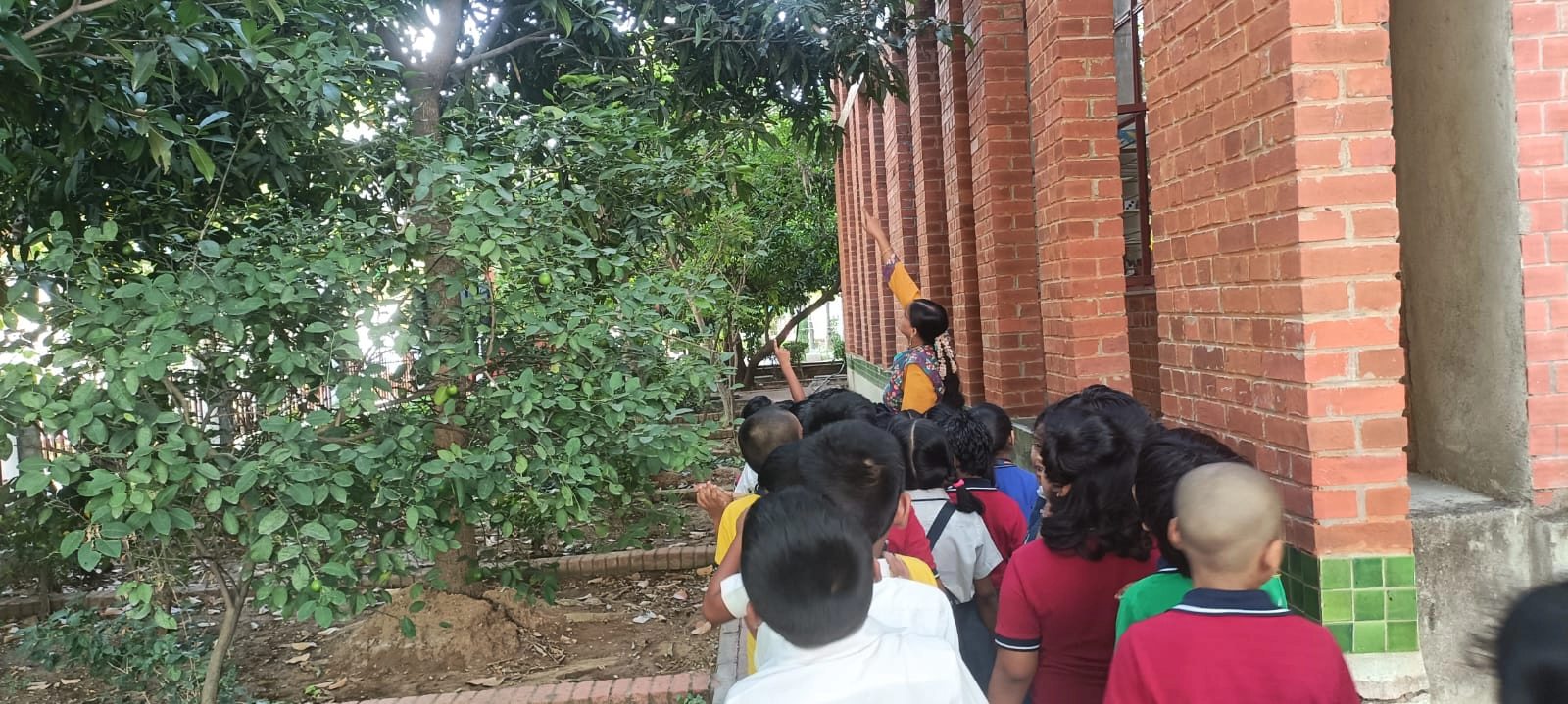 World Environment Day 2026