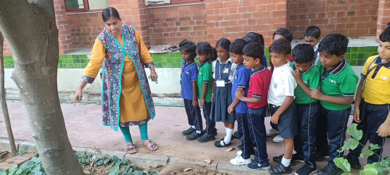 World Environment Day 2026