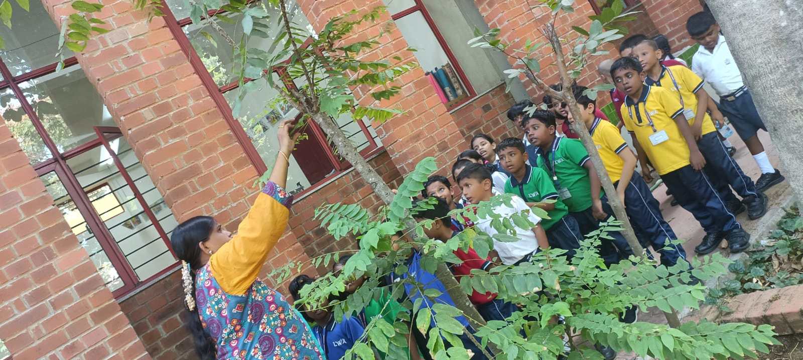 World Environment Day 2026