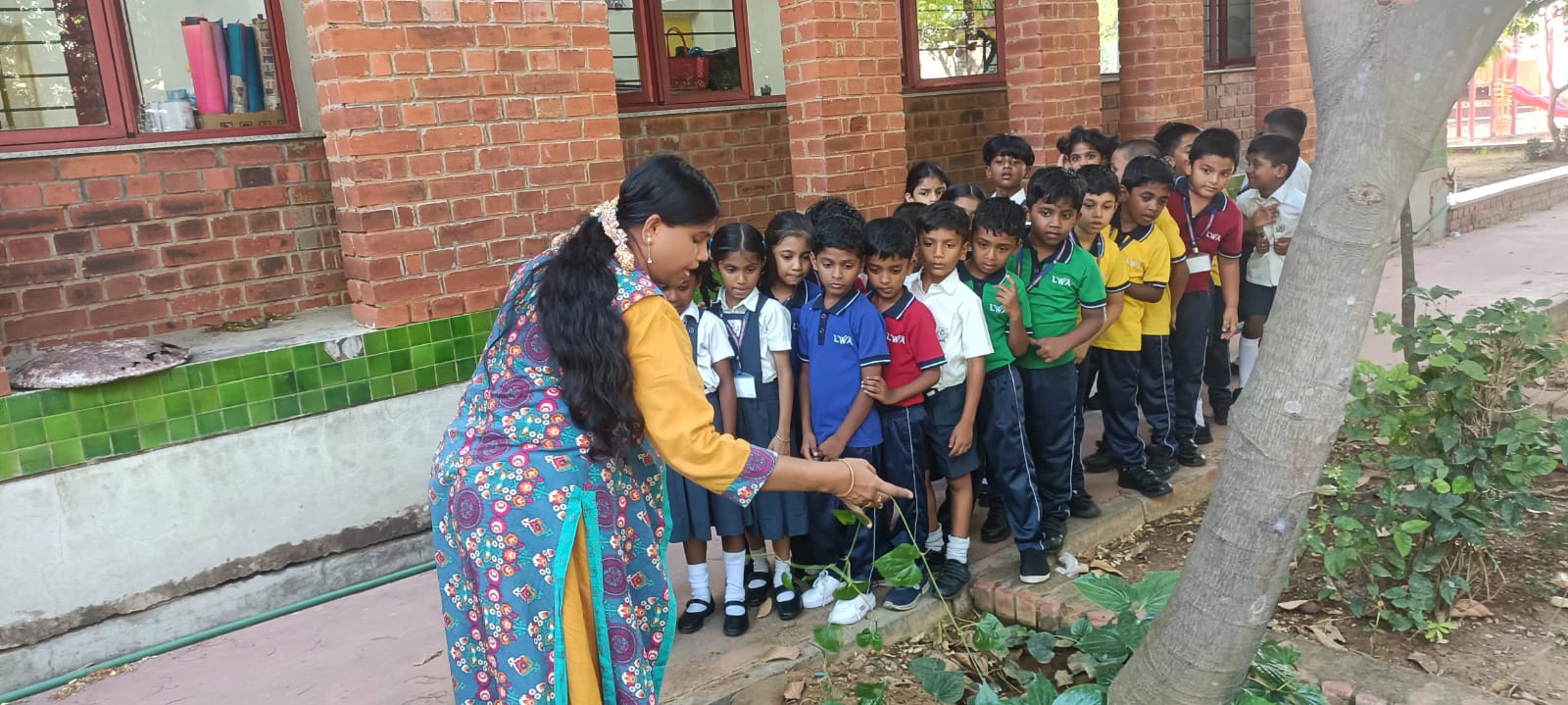 World Environment Day 2026